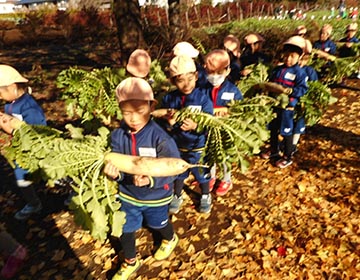 子供の自立をサポートするモンテッソーリ教育の「学校菜園」。のイメージ写真